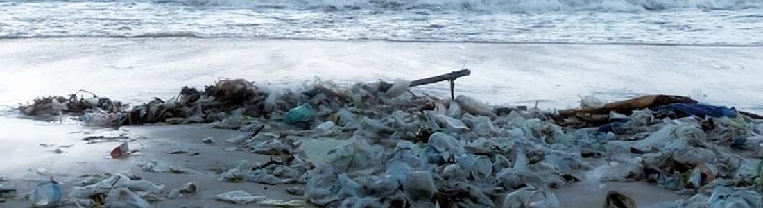 plasticul dauneaza naturii